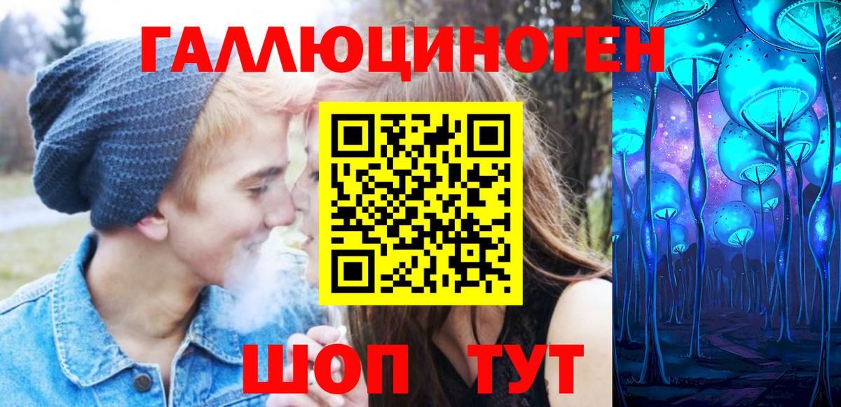 Галлюциногенные грибы Psilocybine cubensis Елизово