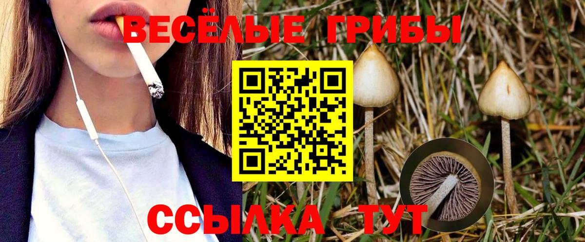 Елизово  Псилоцибиновые грибы Psilocybine cubensis  Галлюциногенные грибы мицелий  Вход с VPN 