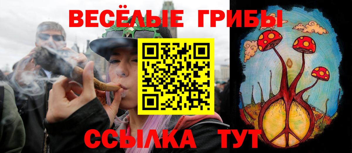 A-PVP Елизово